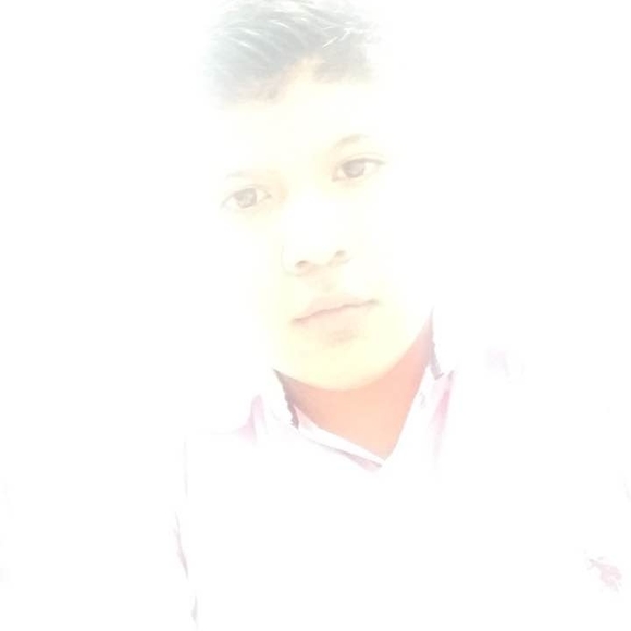 Meet your Posher, Alonso - Picture 1 of 1